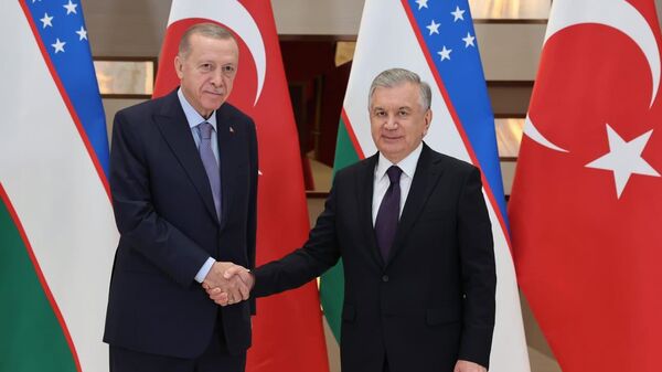 Cumhurbaşkanı Recep Tayyip Erdoğan, Özbekistan Cumhurbaşkanı Şevket Mirziyoyev ile görüşme gerçekleştirdi. - Sputnik Türkiye