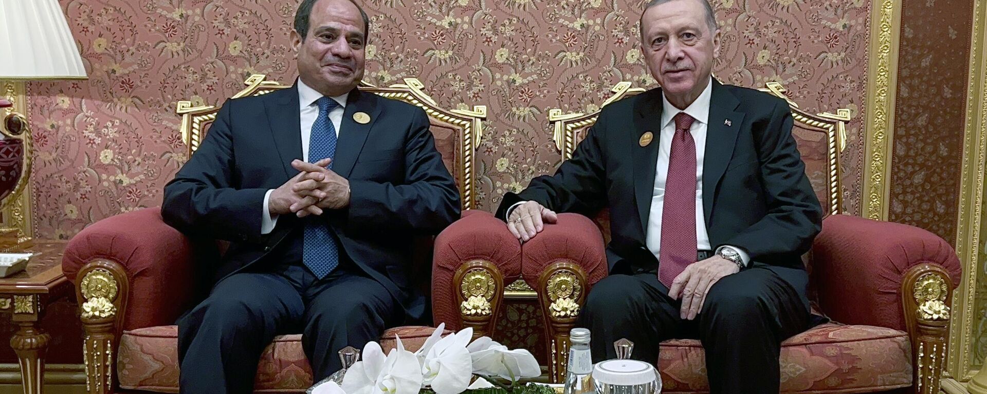 Cumhurbaşkanı Recep Tayyip Erdoğan,  Mısır Cumhurbaşkanı Abdulfettah es-Sisi  - Sputnik Türkiye, 1920, 11.11.2023