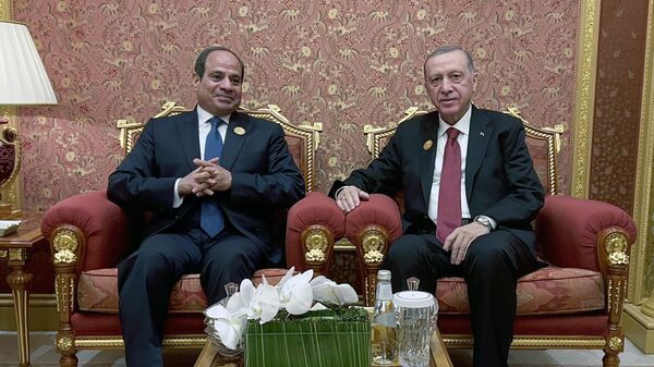 Cumhurbaşkanı Recep Tayyip Erdoğan,  Mısır Cumhurbaşkanı Abdulfettah es-Sisi  - Sputnik Türkiye
