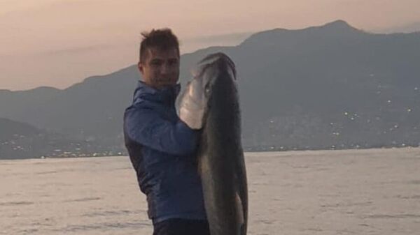 Antalya'nın Alanya ilçesinde avlanan amatör balıkçı Rüştü Mert Kesmen'in oltasına yaklaşık 1 metre 60 santimetre uzunluğunda, 41 kilogram ağırlığında Akya (kuzu) balığı takıldı. ( - Sputnik Türkiye