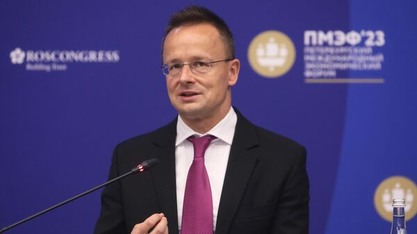 Macaristan Dışişleri Bakanı Peter Szijjarto - Sputnik Türkiye