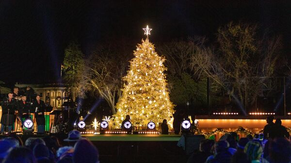 Washington'daki Ulusal Noel Ağacı - Sputnik Türkiye