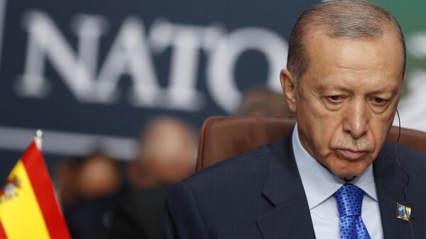Türkiye NATO Recep Tayyip Erdoğan - Sputnik Türkiye