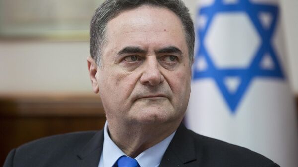 İsrail Dışişleri Bakanı Israel Katz - Sputnik Türkiye