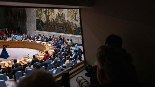 Birleşmiş Milletler Güvenlik Konseyi BM BMGK - Sputnik Türkiye