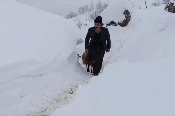 Van'ın Bahçesaray ilçesinde etkili olan ve yaklaşık 1 metreyi geçen kardan dolayı vatandaşlar, hayvanlarını açtıkları tünel sayesinde ahırdan çıkarıp ot ve yem veriyor. - Sputnik Türkiye