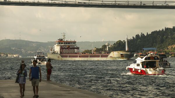 Karadeniz tahıl koridoru girişimi boğazlar istanbul gemi - Sputnik Türkiye