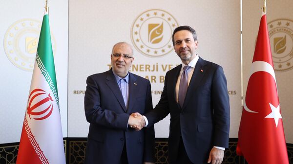 Enerji ve Tabii Kaynaklar Bakanı Alparslan Bayraktar, İran Petrol Bakanı Javad Owji - Sputnik Türkiye