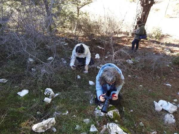 Çevik, &quot;Kardelen çiçekleri bu yıl geçmiş yıllara göre hem en az 1 ay erken açtı, hem de kar yokken çiçek açtılar. Herkesi buraya gelip bu güzellikleri görmelerini istiyorum” diye konuştu. - Sputnik Türkiye