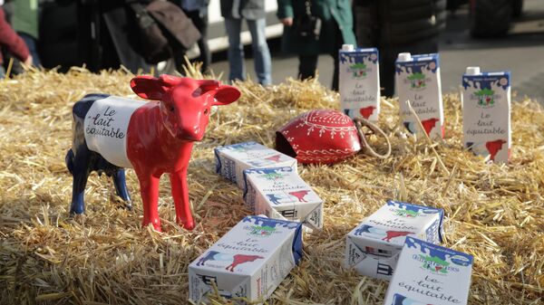 Paris'te bulunan Ulusal Meclis'in önünde bir araya gelen bağımsız süt üreticileri protesto düzenledi - Sputnik Türkiye