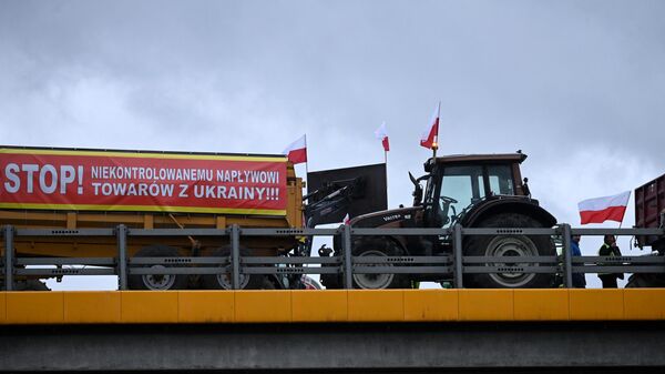 Polonya'da Ukrayna tahılı protestosu - Sputnik Türkiye