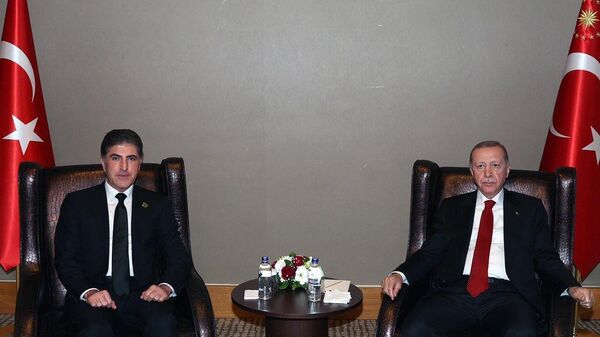Cumhurbaşkanı Recep Tayyip Erdoğan, Irak Kürt Bölgesel Yönetimi (IKBY) Başkanı Neçirvan Barzani ile görüştü. - Sputnik Türkiye