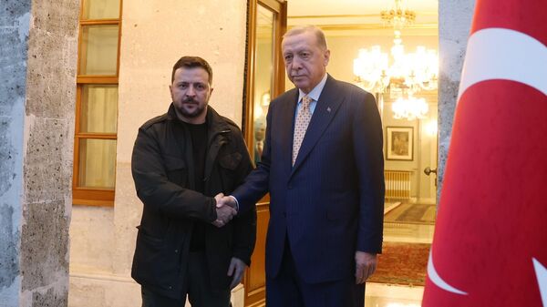 Cumhurbaşkanı Recep Tayyip Erdoğan, Dolmabahçe Ofisi'nde Ukrayna Cumhurbaşkanı Zelenski ile bir görüşme gerçekleştirdi. - Sputnik Türkiye