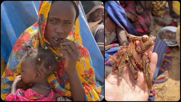 Savaş ve kıtlığın pençesindeki Sudanlılar, hayatta kalmak için çekirge yemek zorunda - Sputnik Türkiye