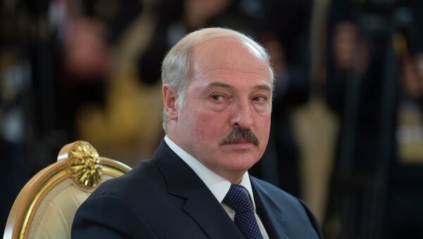 Belarus Cumhuriyeti Devlet Başkanı Lukaşenko - Sputnik Türkiye