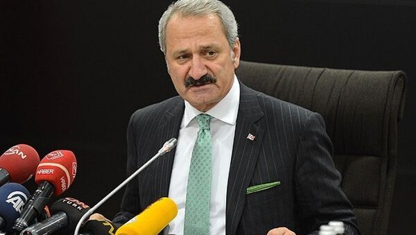 Eski Ekonomi Bakanı Zafer Çağlayan - Sputnik Türkiye