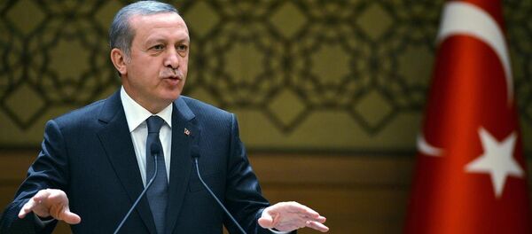 Cumhurbaşkanı Recep Tayyip Erdoğan - Sputnik Türkiye