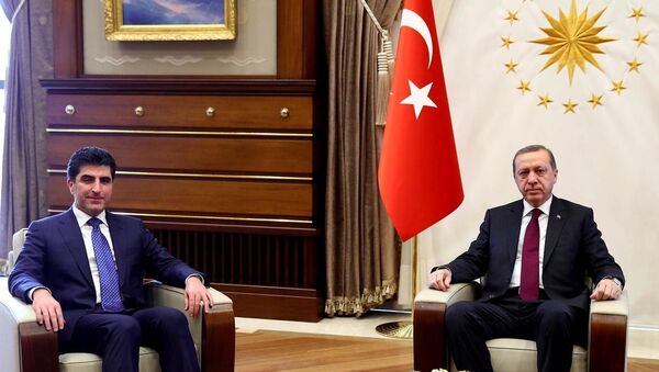 Recep Tayyip Erdoğan- Neçirvan Barzani - Sputnik Türkiye