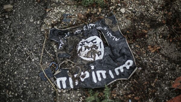 Irak Şam İslam Devleti (IŞİD) - Sputnik Türkiye