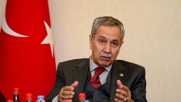 Başbakan Yardımcısı Bülent Arınç - Sputnik Türkiye