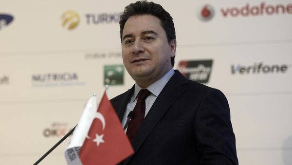 Başbakan Yardımcısı Ali Babacan - Sputnik Türkiye