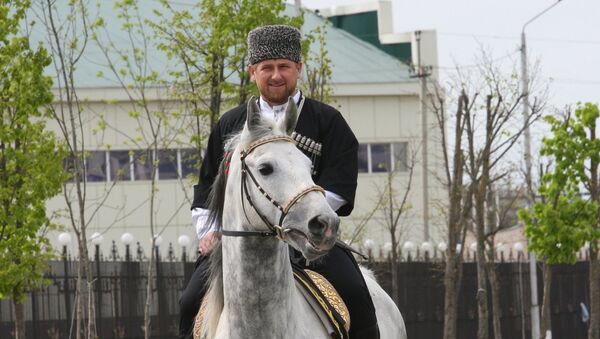 Çeçen lider Ramzan Kadirov'un atı Zazu da yaptırımlardan 'nasibini' aldı. - Sputnik Türkiye