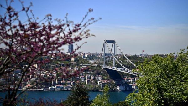 İstanbul boğazı - Sputnik Türkiye