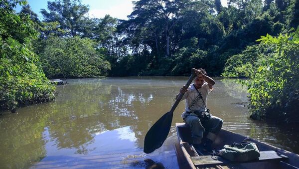 Peru’yu ziyaret edip, turistik etkinlikler ve tarihi ziyaretlerin yerine vahşi doğa ile baş başa kalmak isteyen turistlerin imdadına Amazon ormanları yetişiyor. - Sputnik Türkiye