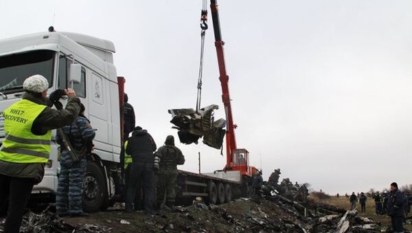 MH17 sefer sayılı yolcu uçağı - Sputnik Türkiye