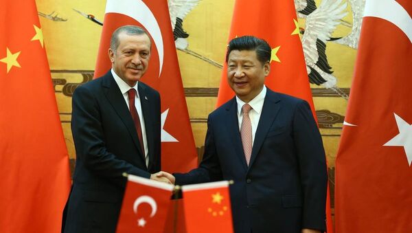 Recep Tayyip Erdoğan & Şi Cinping - Sputnik Türkiye