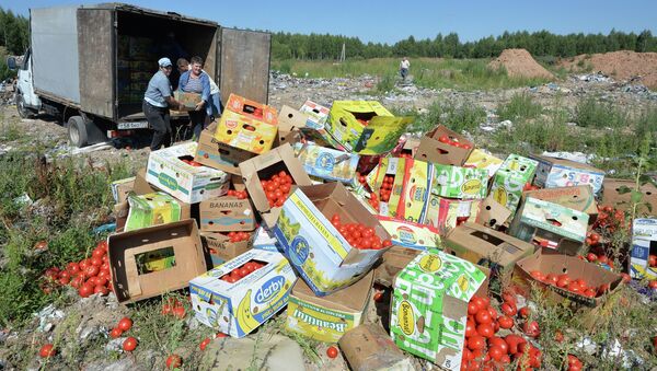 Rusya'da AB gıda ürünlerini imhası - Sputnik Türkiye