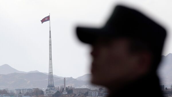 Kuzey Kore sınırındaki bir Güney Kore askeri - Sputnik Türkiye
