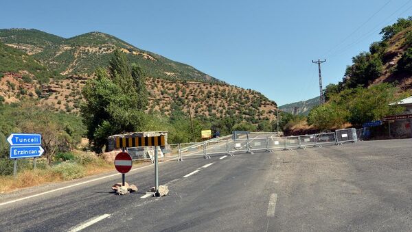 Tunceli'de bazı karayolları ulaşıma kapatıldı - Sputnik Türkiye