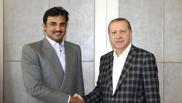Cumhurbaşkanı Recep Tayyip Erdoğan, İstanbul’da Katar Emiri Şeyh Temim Bin Hamed Al Sani ile görüştü. - Sputnik Türkiye