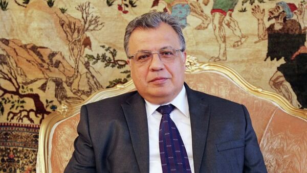 Rusya’nın Ankara Büyükelçisi Andrey Karlov - Sputnik Türkiye