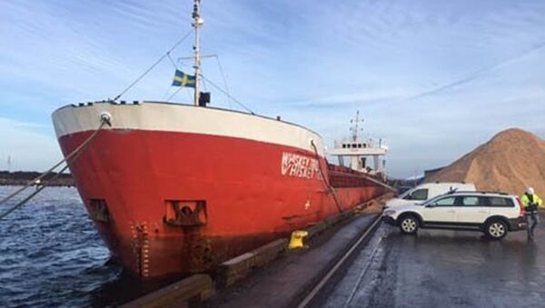 Patlayıcı taşıyan Türk yük gemisi İsveç'te bekletiliyor. - Sputnik Türkiye
