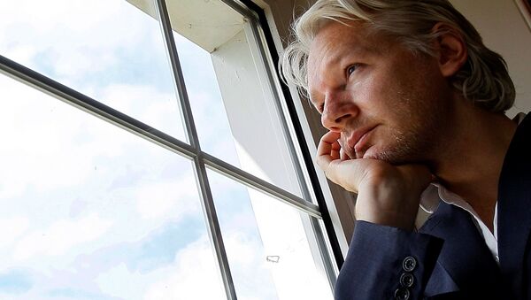WikiLeaks kurucusu Julian Assange - Sputnik Türkiye