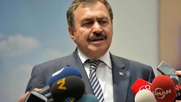 Orman ve Su İşleri Bakanı Veysel Eroğlu - Sputnik Türkiye