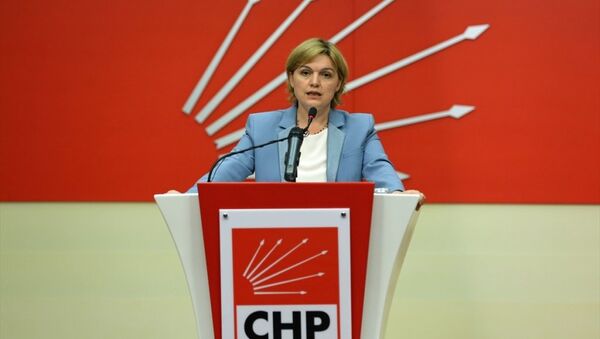 CHP Genel Başkan Yardımcısı ve Parti Sözcüsü Selin Sayek Böke basın açıklaması yaptı. - Sputnik Türkiye