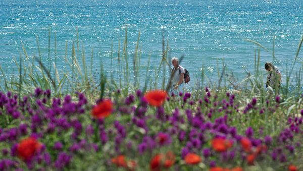 Kırım’ın Feodosiya kentindeki deniz kıyısında bir çiçek tarlası. - Sputnik Türkiye