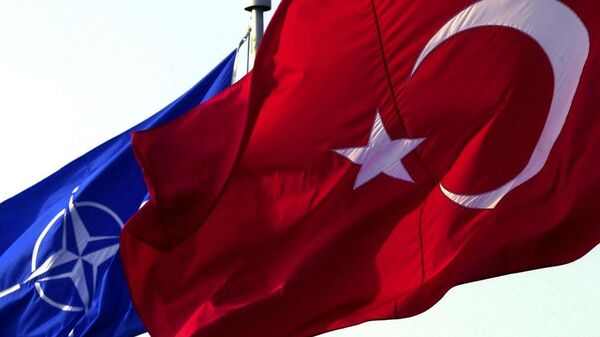 Türkiye - NATO - Bayrak  - Sputnik Türkiye