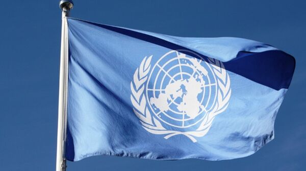 Birleşmiş Milletler bayrağı - Sputnik Türkiye