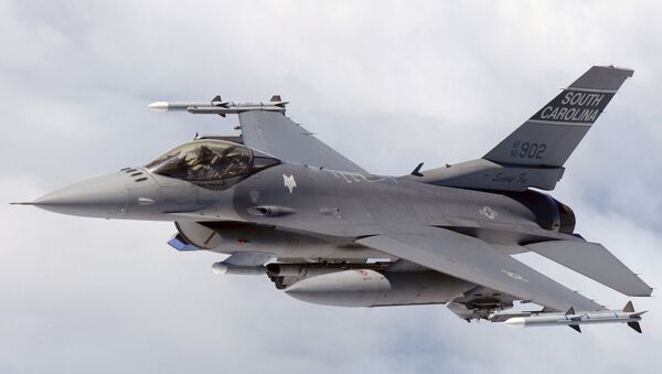 Mısır Hava Kuvvetleri’nden bir F-16 - Sputnik Türkiye