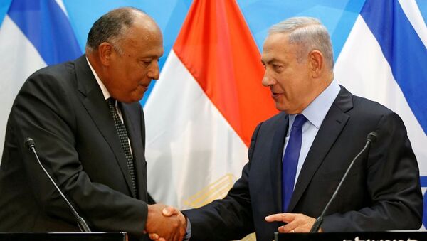 Mısır Dışişleri Bakanı Samih Şükri ve İsrail Başbakanı Benyamin Netanyahu - Sputnik Türkiye
