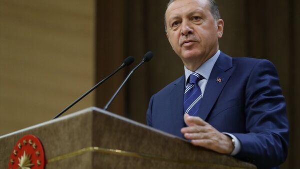 Erdoğan Beştepe - Sputnik Türkiye