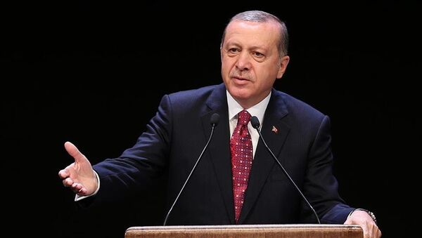 Cumhurbaşkanı Recep Tayyip Erdoğan - Sputnik Türkiye