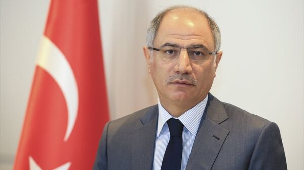 Eski İçişleri Bakanı Efkan Ala - Sputnik Türkiye