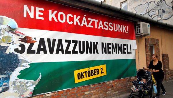 Macaristan sığınmacı referandumu - Sputnik Türkiye