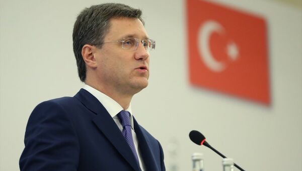 Rusya Enerji Bakanı Aleksandr Novak - Sputnik Türkiye