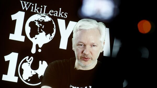 WikiLeaks kurucusu Julian Assange - Sputnik Türkiye